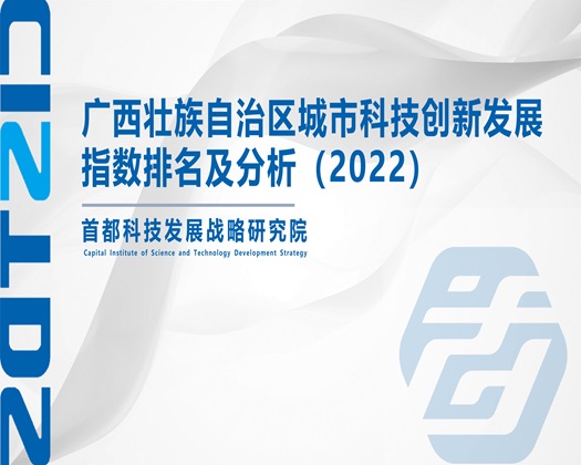 真人性爱靠逼【成果发布】广西壮族自治区城市科技创新发展指数排名及分析（2022）